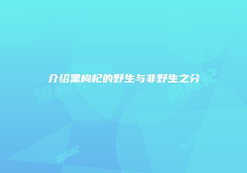 介绍黑枸杞的野生与非野生之分