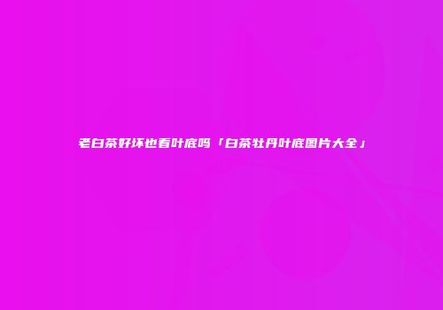 老白茶好坏也看叶底吗「白茶牡丹叶底图片大全」
