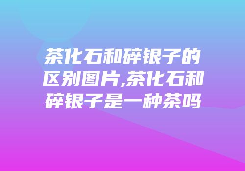 茶化石和碎银子的区别图片,茶化石和碎银子是一种茶吗