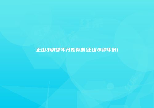 正山小种哪年开始有的(正山小种年份)