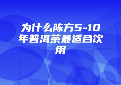 为什么陈方5-10年普洱茶最适合饮用