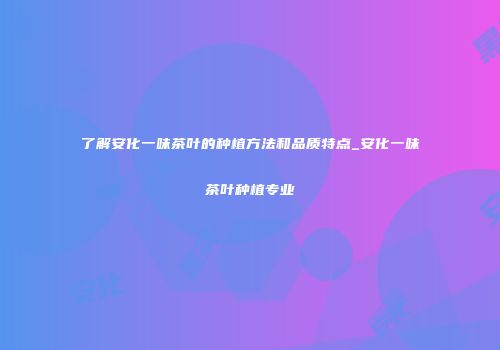 了解安化一味茶叶的种植方法和品质特点_安化一味茶叶种植专业