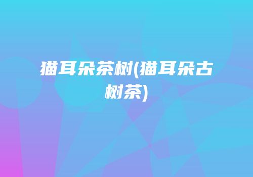 猫耳朵茶树(猫耳朵古树茶)