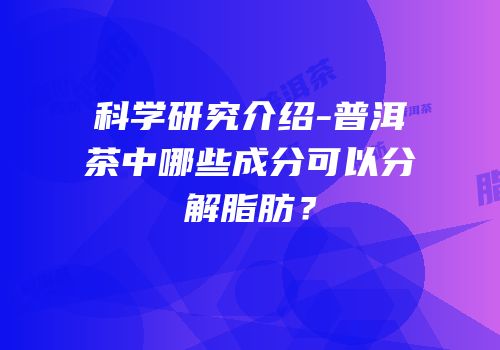 科学研究介绍-普洱茶中哪些成分可以分解脂肪？