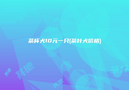茶杯犬10元一只(茶叶犬价格)