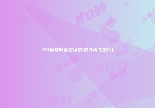 20种茶叶看图认茶(茶叶内飞图片)