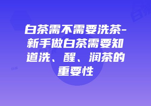 白茶需不需要洗茶-新手做白茶需要知道洗、醒、润茶的重要性