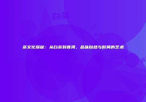 茶文化探秘：从白茶到普洱，品味自然与时间的艺术