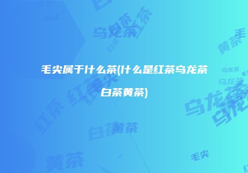 毛尖属于什么茶(什么是红茶乌龙茶白茶黄茶)