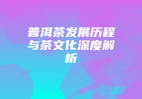 普洱茶发展历程与茶文化深度解析