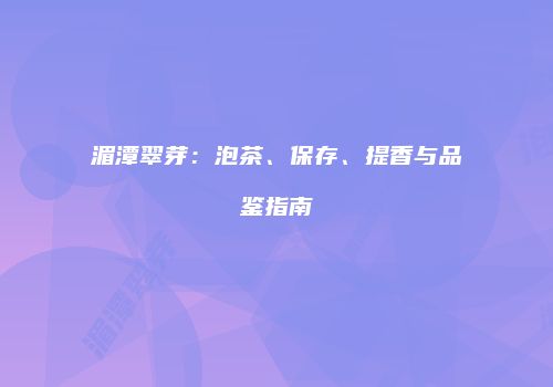 湄潭翠芽：泡茶、保存、提香与品鉴指南