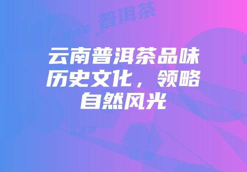 云南普洱茶品味历史文化，领略自然风光