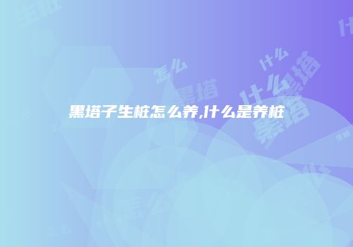 黑塔子生桩怎么养,什么是养桩