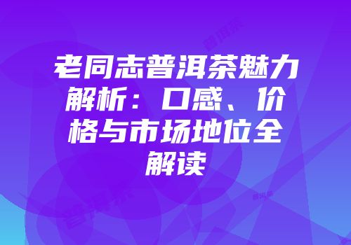 老同志普洱茶魅力解析：口感、价格与市场地位全解读