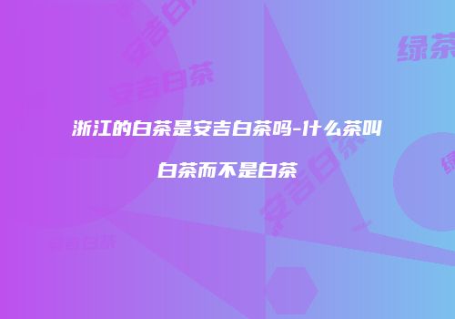 浙江的白茶是安吉白茶吗-什么茶叫白茶而不是白茶