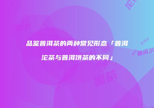 品鉴普洱茶的两种常见形态「普洱沱茶与普洱饼茶的不同」