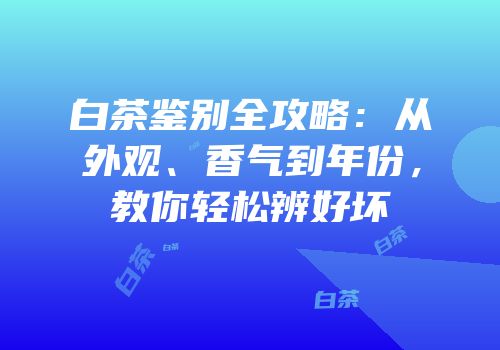 白茶鉴别全攻略：从外观、香气到年份，教你轻松辨好坏
