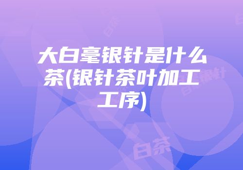 大白毫银针是什么茶(银针茶叶加工工序)