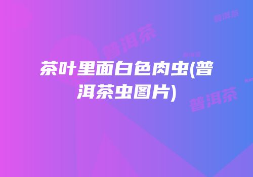 茶叶里面白色肉虫(普洱茶虫图片)