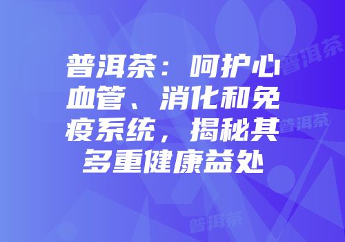 普洱茶：呵护心血管、消化和免疫系统，揭秘其多重健康益处