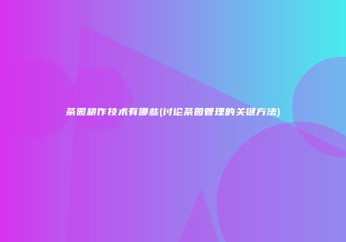茶园耕作技术有哪些(讨论茶园管理的关键方法)