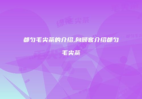 都匀毛尖茶的介绍,向顾客介绍都匀毛尖茶