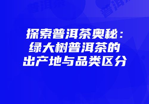 探索普洱茶奥秘：绿大树普洱茶的出产地与品类区分