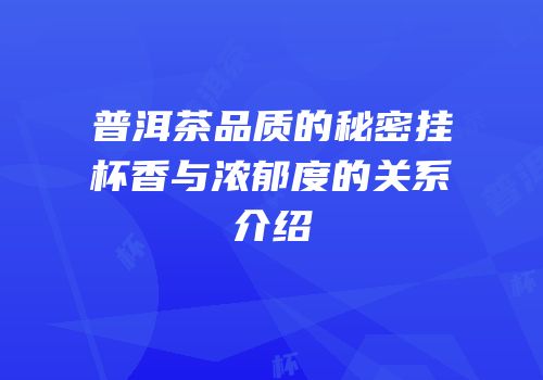 普洱茶品质的秘密挂杯香与浓郁度的关系介绍