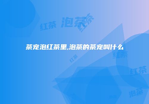茶宠泡红茶里,泡茶的茶宠叫什么