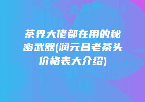 茶界大佬都在用的秘密武器(润元昌老茶头价格表大介绍)