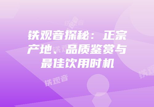 铁观音探秘：正宗产地、品质鉴赏与最佳饮用时机