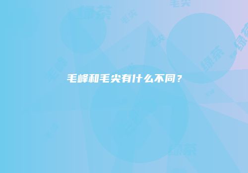 毛峰和毛尖有什么不同？