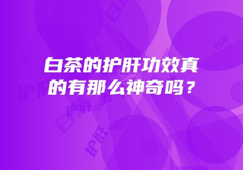 白茶的护肝功效真的有那么神奇吗？