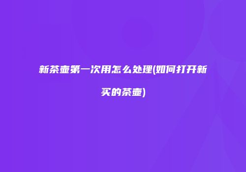 新茶壶第一次用怎么处理(如何打开新买的茶壶)