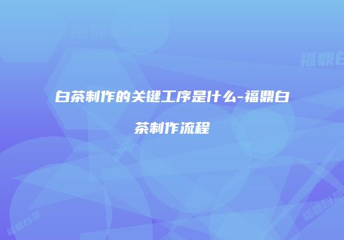 白茶制作的关键工序是什么-福鼎白茶制作流程