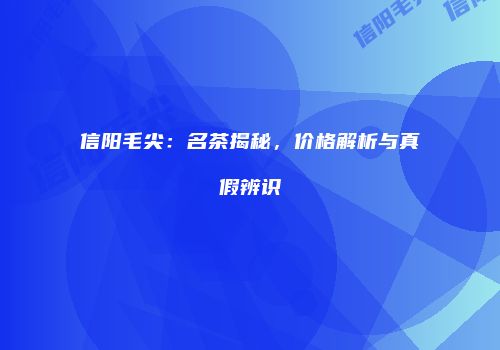 信阳毛尖：名茶揭秘，价格解析与真假辨识