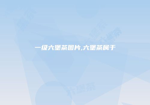 一级六堡茶图片,六堡茶属于