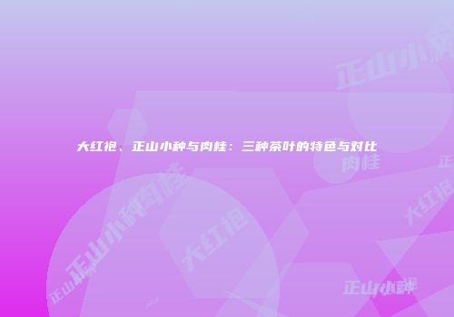 大红袍、正山小种与肉桂：三种茶叶的特色与对比