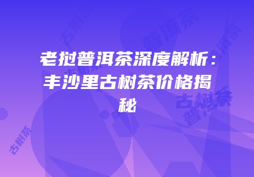 老挝普洱茶深度解析：丰沙里古树茶价格揭秘