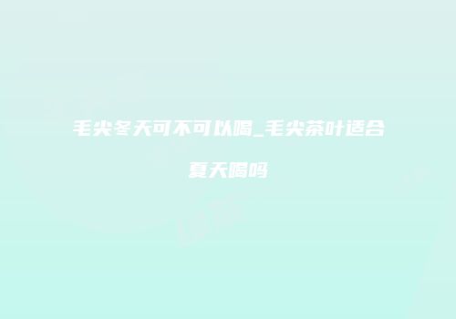 毛尖冬天可不可以喝_毛尖茶叶适合夏天喝吗