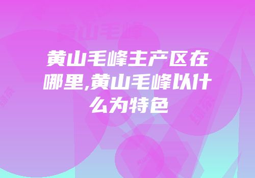 黄山毛峰主产区在哪里,黄山毛峰以什么为特色