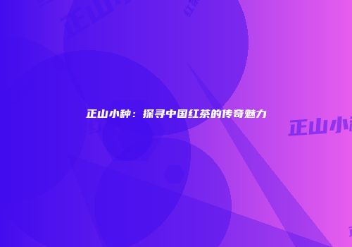 正山小种：探寻中国红茶的传奇魅力