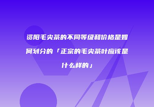 资阳毛尖茶的不同等级和价格是如何划分的「正宗的毛尖茶叶应该是什么样的」