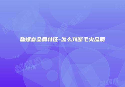 碧螺春品质特征-怎么判断毛尖品质