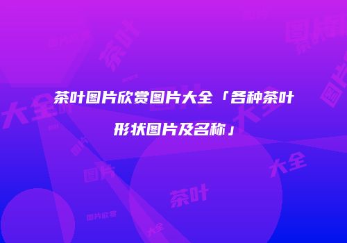 茶叶图片欣赏图片大全「各种茶叶形状图片及名称」