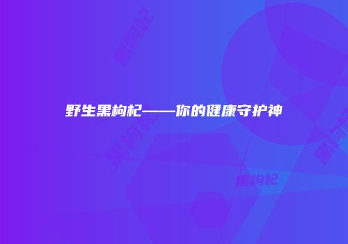 野生黑枸杞——你的健康守护神