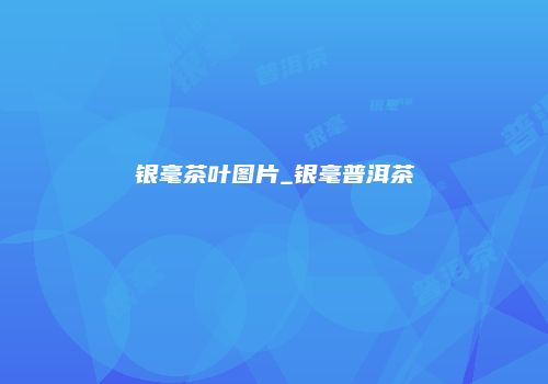 银毫茶叶图片_银毫普洱茶