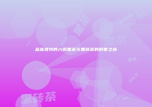 品味独特的六洞黑茶与黑砖茶的醇香之旅