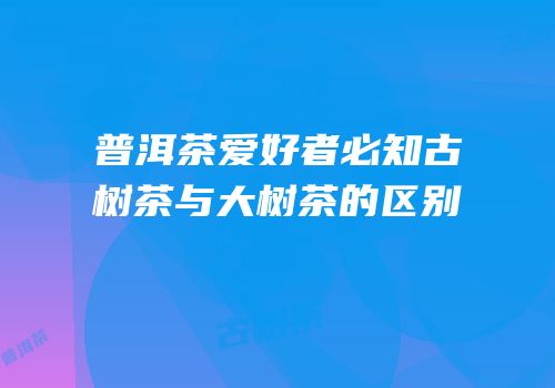 普洱茶爱好者必知古树茶与大树茶的区别