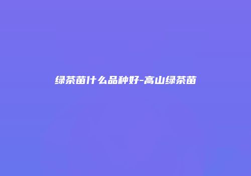 绿茶苗什么品种好-高山绿茶苗